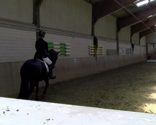 Reitturnier Dortmund-Somborn 2025