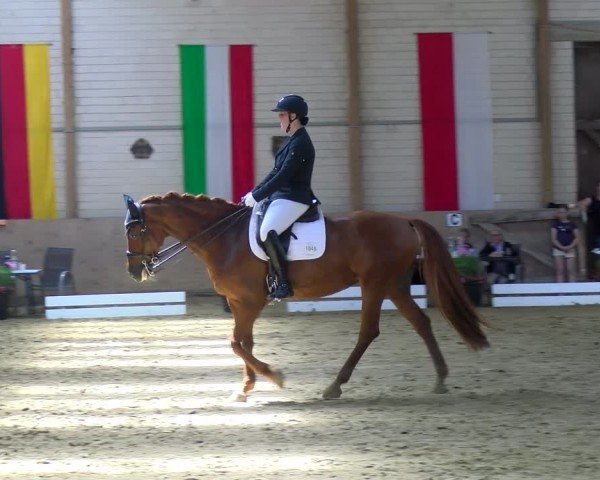 Reitturnier Dortmund-Somborn 2025