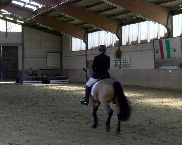 Reitturnier Dortmund-Somborn 2025