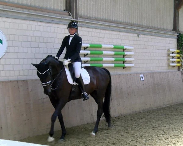 Reitturnier Dortmund-Somborn 2025