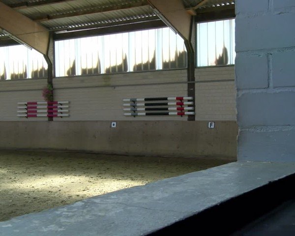 Reitturnier Dortmund-Somborn 2025