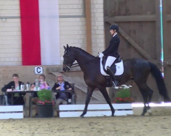 Reitturnier Dortmund-Somborn 2025