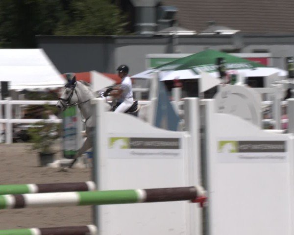 Reitturnier Dortmund-Somborn 2025