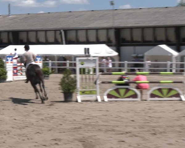 Reitturnier Dortmund-Somborn 2025
