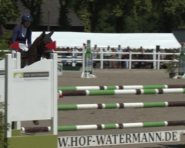 Reitturnier Dortmund-Somborn 2025