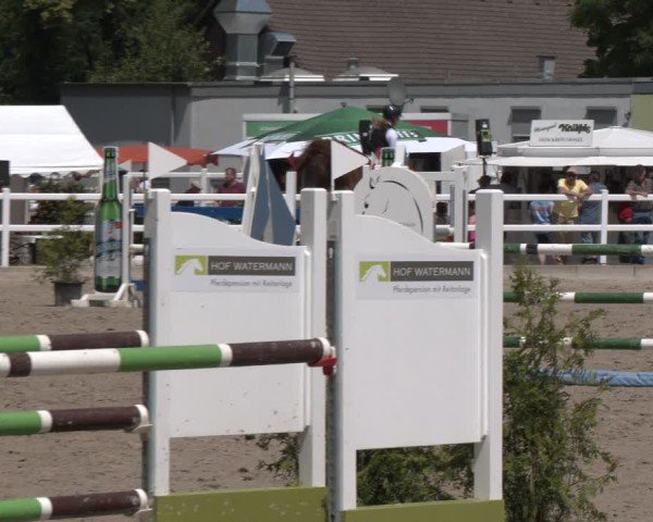 Reitturnier Dortmund-Somborn 2025