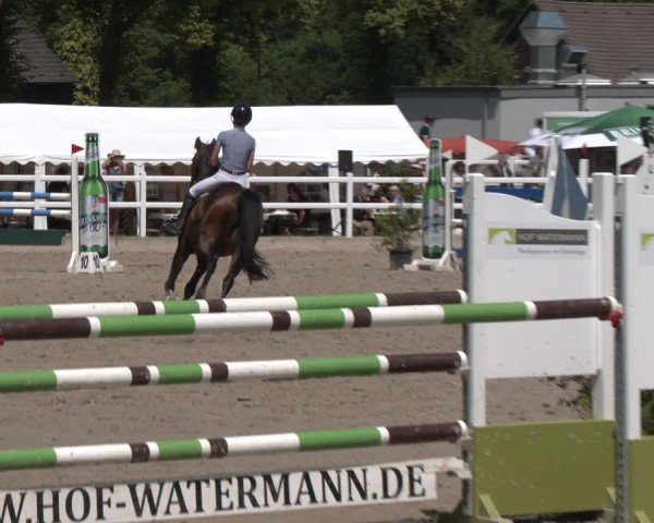 Reitturnier Dortmund-Somborn 2025