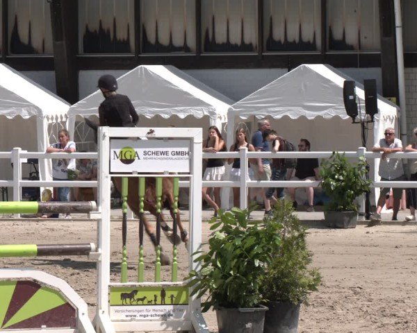 Reitturnier Dortmund-Somborn 2025