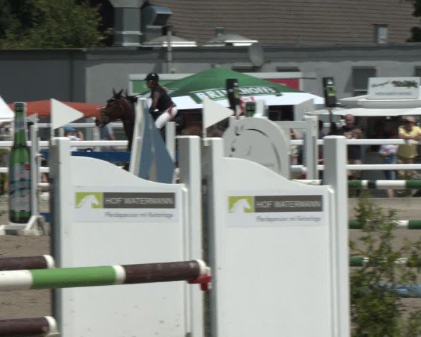 Reitturnier Dortmund-Somborn 2025