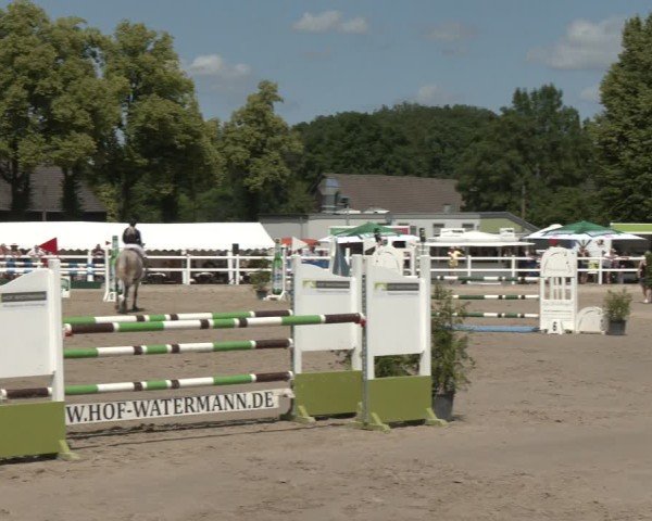 Reitturnier Dortmund-Somborn 2025