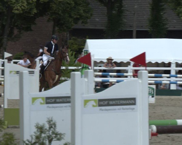 Reitturnier Dortmund-Somborn 2025
