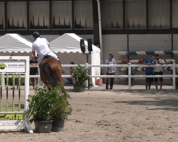 Reitturnier Dortmund-Somborn 2025