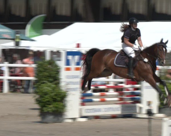 Reitturnier Dortmund-Somborn 2025