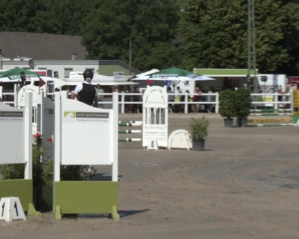 Reitturnier Dortmund-Somborn 2025