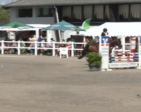 Reitturnier Dortmund-Somborn 2025
