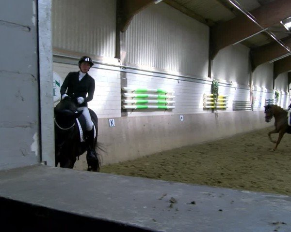 Reitturnier Dortmund-Somborn 2025