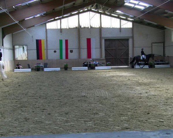Reitturnier Dortmund-Somborn 2025
