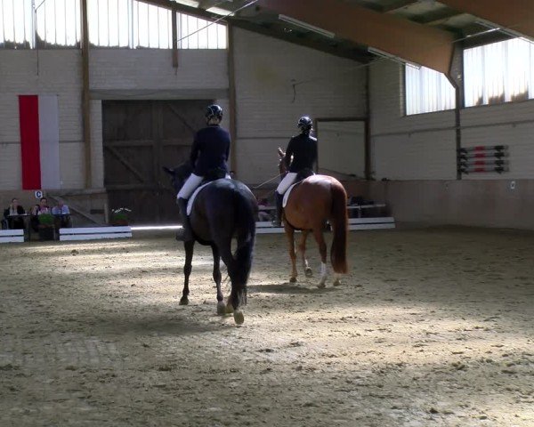 Reitturnier Dortmund-Somborn 2025