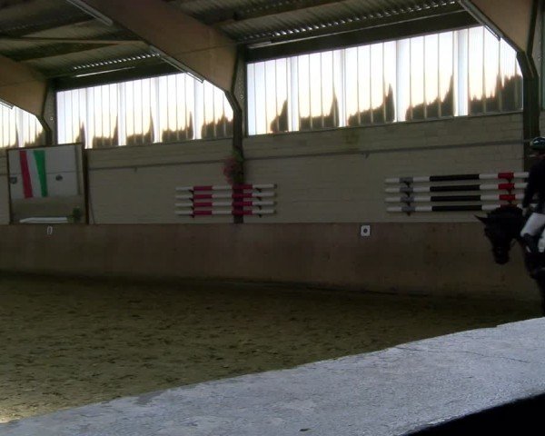 Reitturnier Dortmund-Somborn 2025