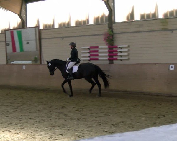 Reitturnier Dortmund-Somborn 2025