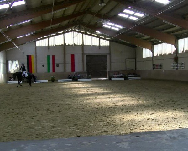 Reitturnier Dortmund-Somborn 2025
