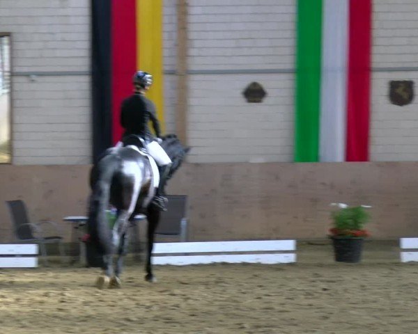 Reitturnier Dortmund-Somborn 2025