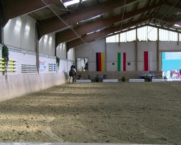 Reitturnier Dortmund-Somborn 2025