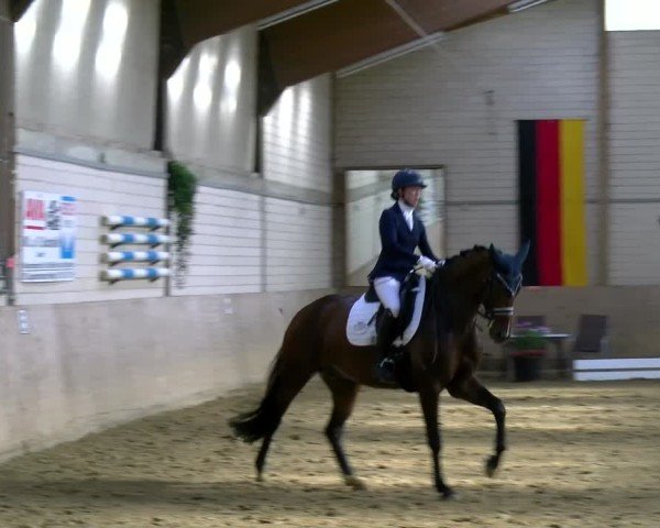 Reitturnier Dortmund-Somborn 2025