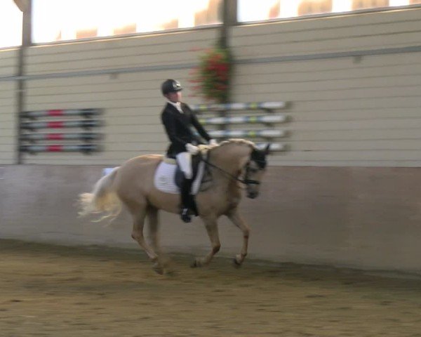 Reitturnier Dortmund-Somborn 2025