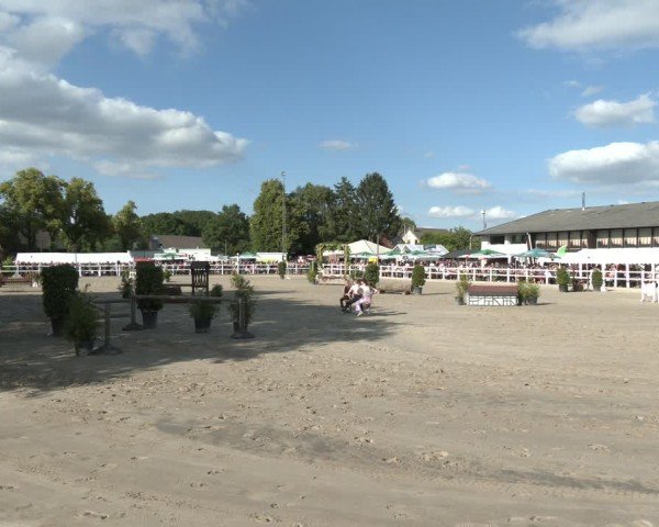 Reitturnier Dortmund-Somborn 2025