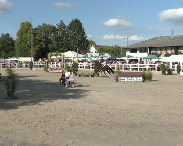 Reitturnier Dortmund-Somborn 2025