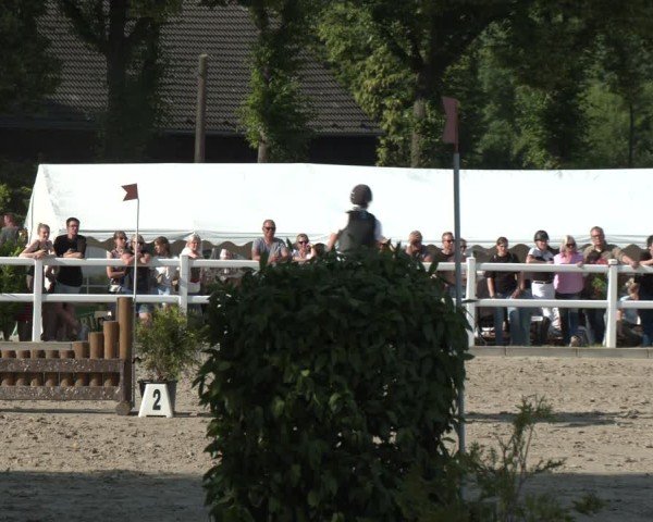 Reitturnier Dortmund-Somborn 2025