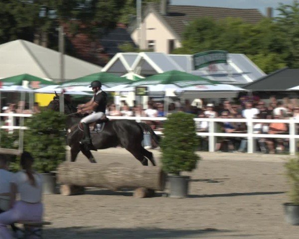 Reitturnier Dortmund-Somborn 2025