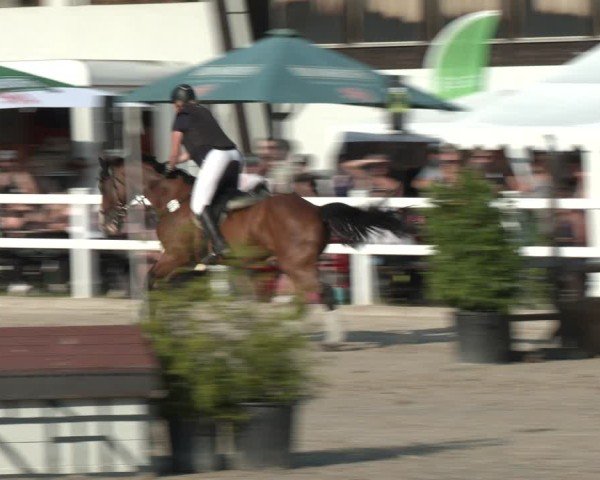 Reitturnier Dortmund-Somborn 2025