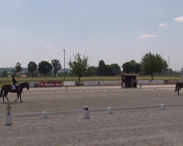 Reitturnier Rot am See- Musdorf 2025