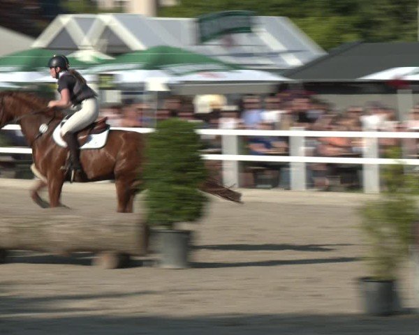 Reitturnier Dortmund-Somborn 2025