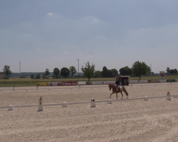Reitturnier Rot am See- Musdorf 2025