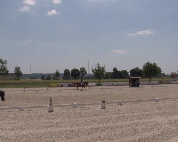 Reitturnier Rot am See- Musdorf 2025