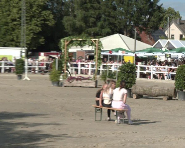 Reitturnier Dortmund-Somborn 2025