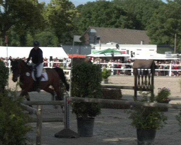 Reitturnier Dortmund-Somborn 2025