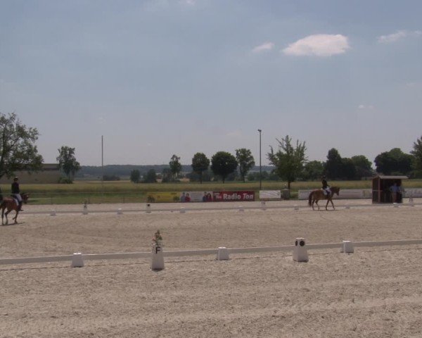 Reitturnier Rot am See- Musdorf 2025