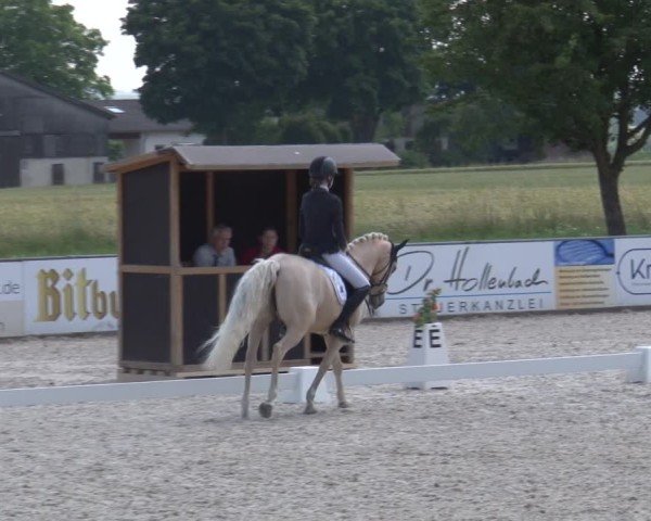 Reitturnier Rot am See- Musdorf 2025