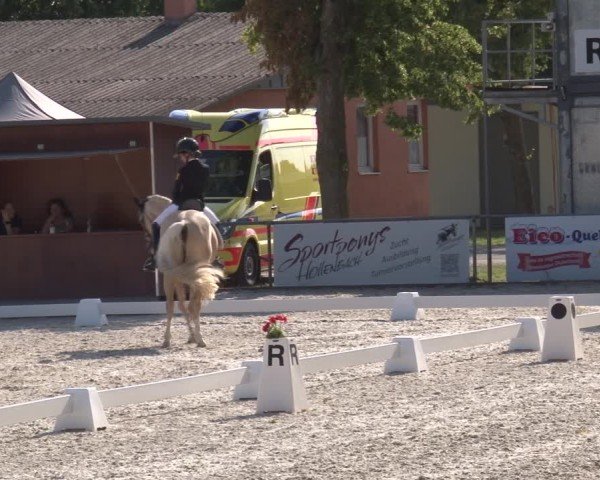 Reitturnier Rot am See- Musdorf 2025