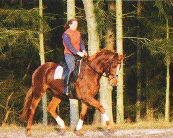 horse Agathe (Trakehner, 2008, from Meraldik)