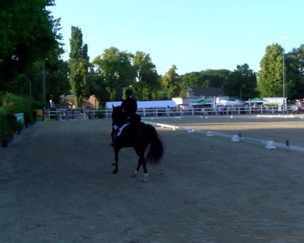 Reitturnier Dortmund-Somborn 2025