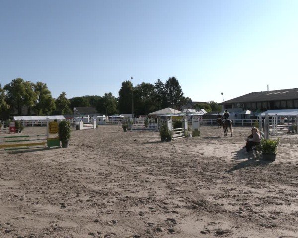 Reitturnier Dortmund-Somborn 2025