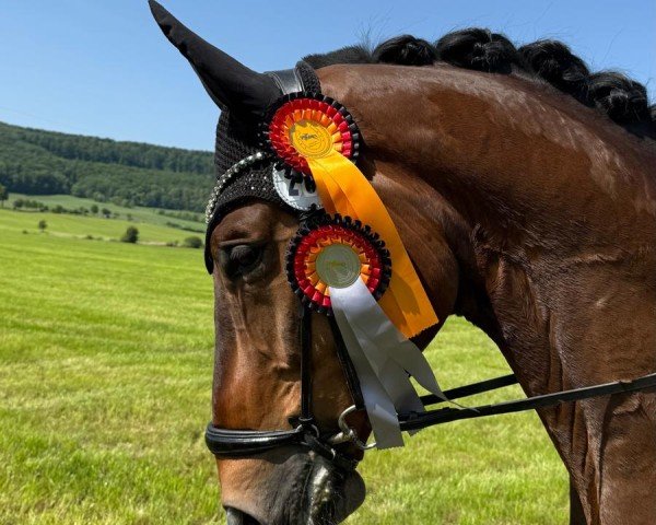 dressage horse Escolado (Rhinelander, 2017, from Escolar)