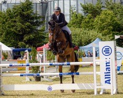 Springpferd Vistamar HS (Hannoveraner, 2015, von Viscount 22)
