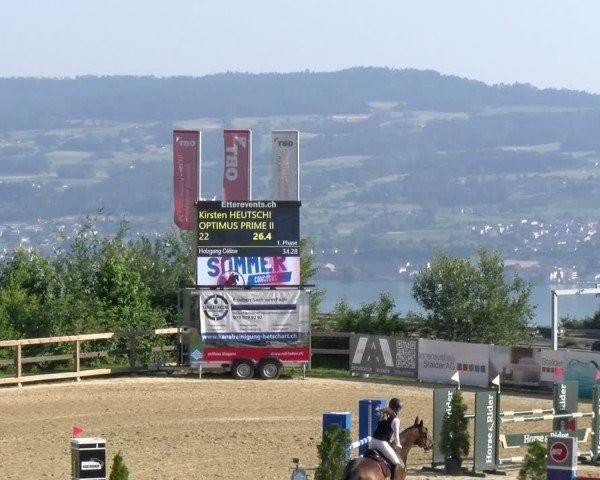 Reitturnier Wädenswil 2025
