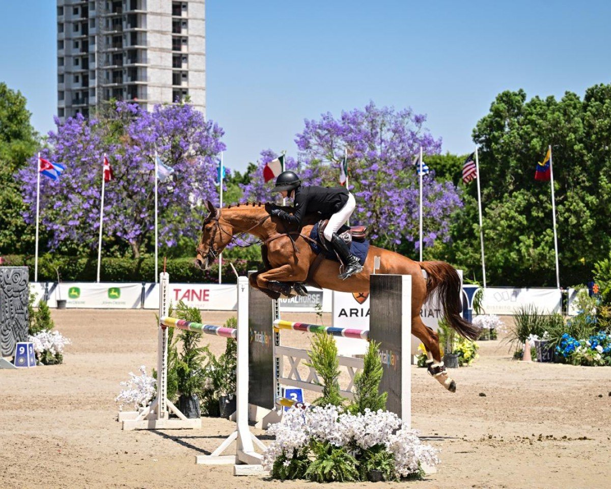 jumper Fiona Di Fosso (Swiss Warmblood, 2016, from Flipper d'Elle)